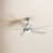 Brushed Nickel with Silver Blades is out of stock