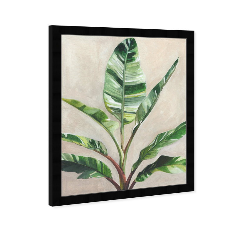 Nice Plants II - Peinture sur papier encadrée, Noir, H 22 po x l 18 po