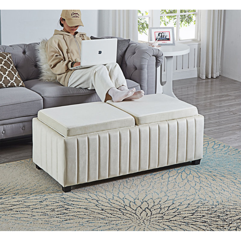 Storage Ottoman Bench Coffee Table