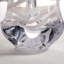 Snowdrift Evergreen In Gift Box