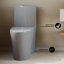 Toilette allongée une pièce à double chasse 1,1 / 1,6 gallon St. Tropez-1661754040-1623405251-1645430537