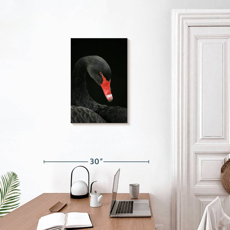 Brampt Black Swan Head, 24" H x 16" W