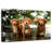 Brampt Tollers In The Water-108155071