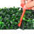 Grass Wall-10In-1521783216
