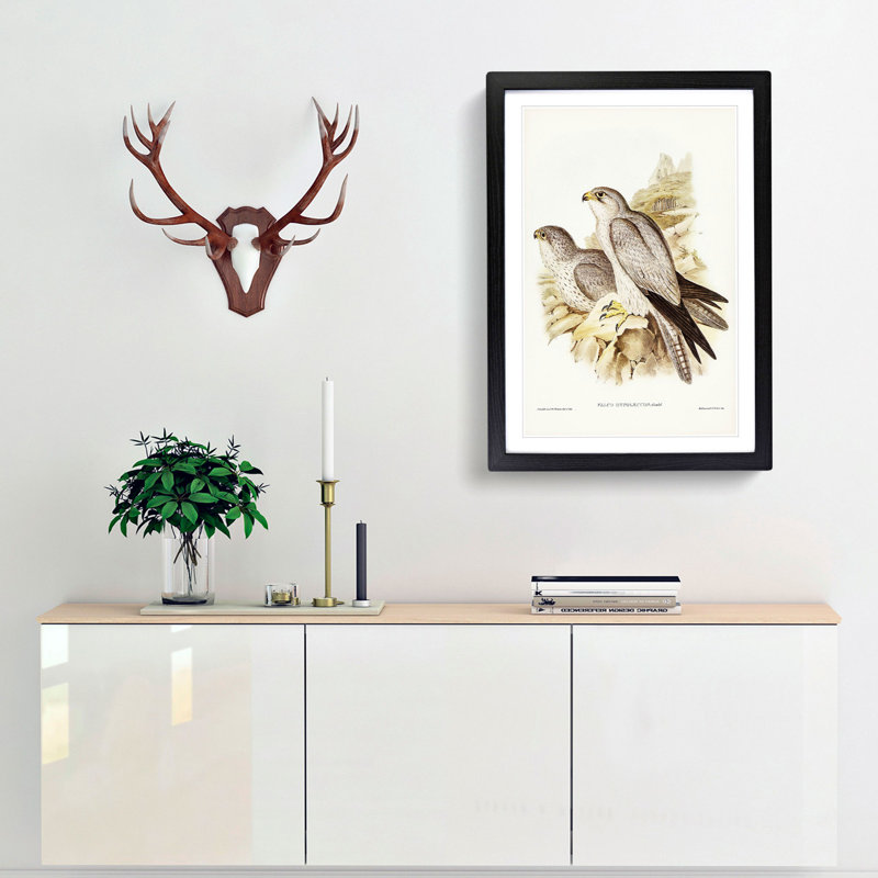 Grey Falcons by Elizabeth Gould - Picture Frame Painting Print, 48cm H x 36cm W x 2cm D, Black Framed