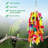 14 Inch Parrot Chewing Toys In Multicolor