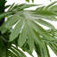 Lighted Artificial Tropical Christmas Tree-1650506591