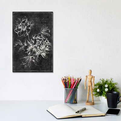 Black Botanical I by PI Galerie - Wrapped Canvas Print