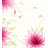 Cottage Americana Polyester Floral Duvet Cover-71652252