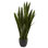 33" Foliage Plant in Planter