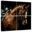 Cheval châtaignier Brampt-109118758