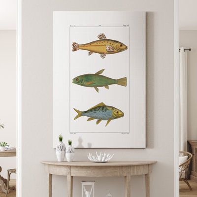 " Freshwater Fish IV "