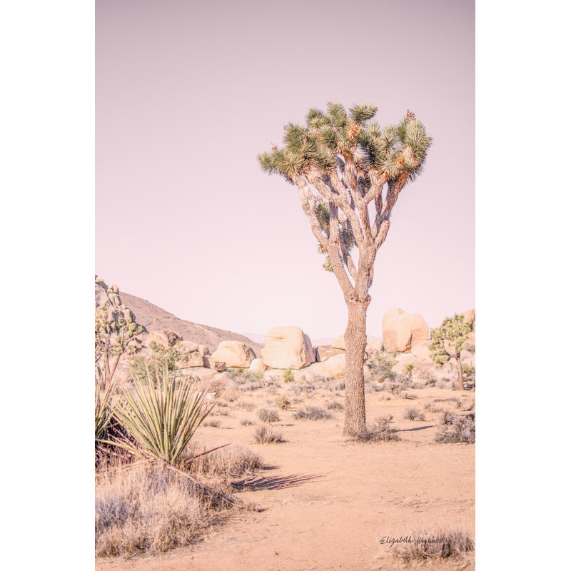 Joshua Tree III Blush by Elizabeth Urquhart - Wrapped Canvas Print, 46cm H x 30cm W