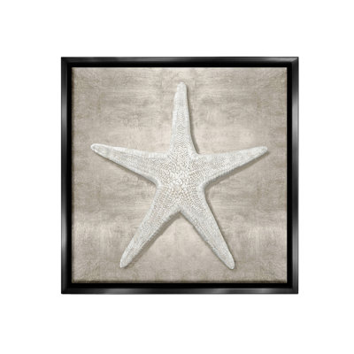 " Rustic Grey Starfish Floater Frame " by Amber Sterling