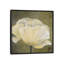 «Poppy in White I», impression sur toile-72779420-72779419-29090083
