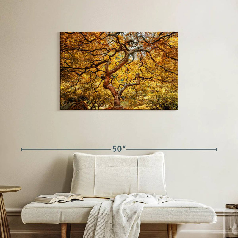 Harnek Yellow Japanese Maple Tree, 24" H x 36" W