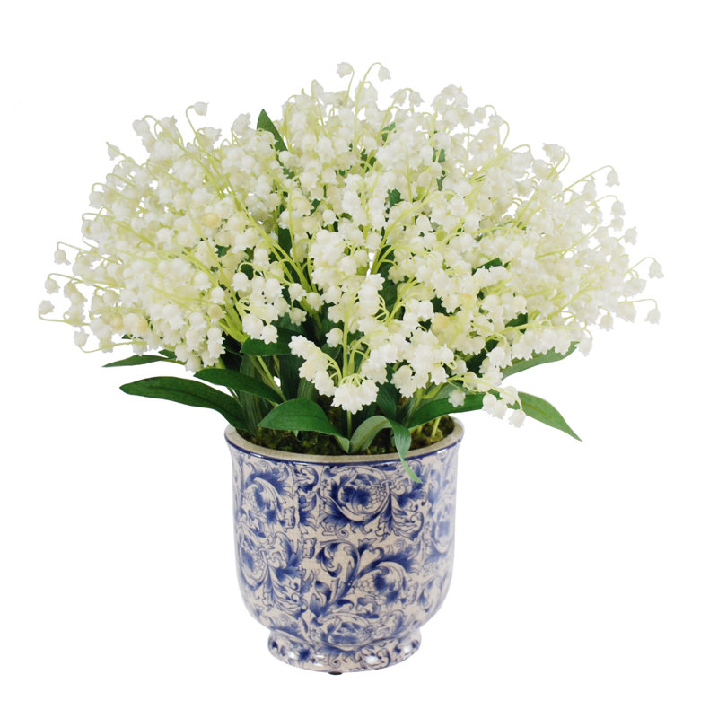 Lily Of The Valley In Pot