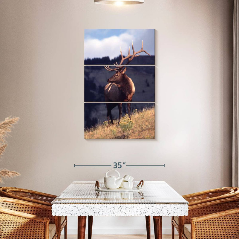 Brampt Montana Bull Elk, 45" H x 28" W