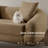 Econest Stain-resistant Small-space Sofa(no-assembly）-448557899