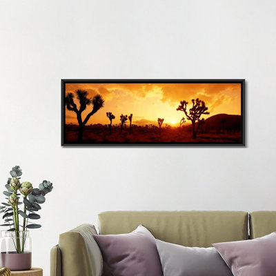 " SunsetJoshua Tree Park, California, USA " by Panoramic Images