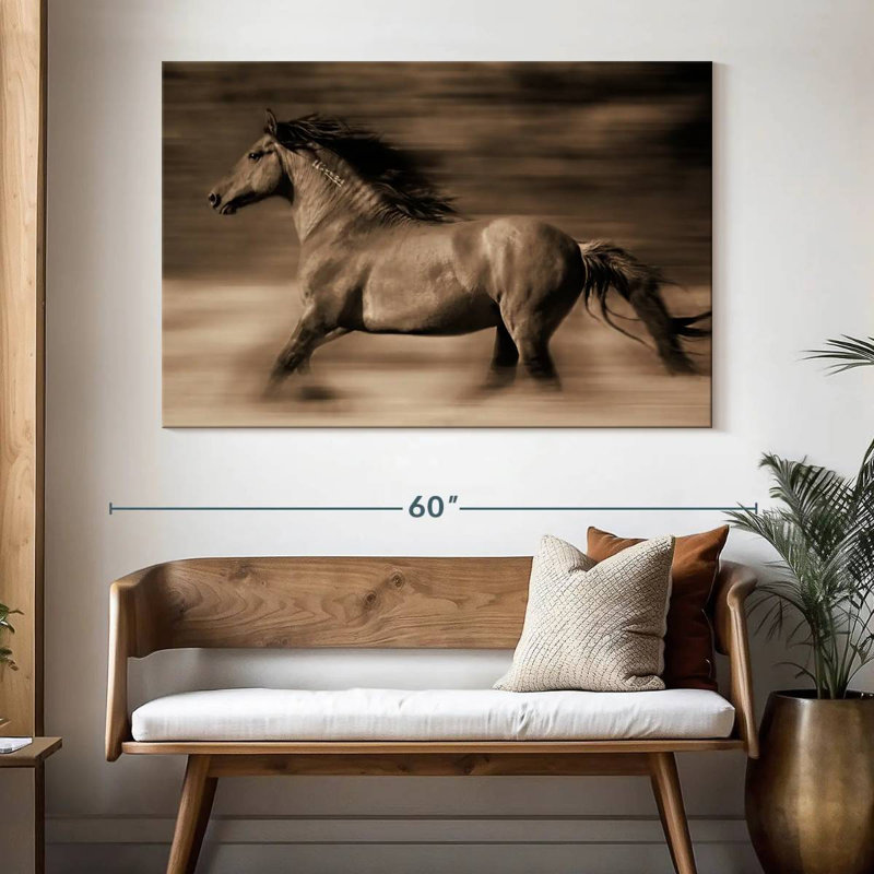 Brampt Wind Runner, 34" H x 51" W