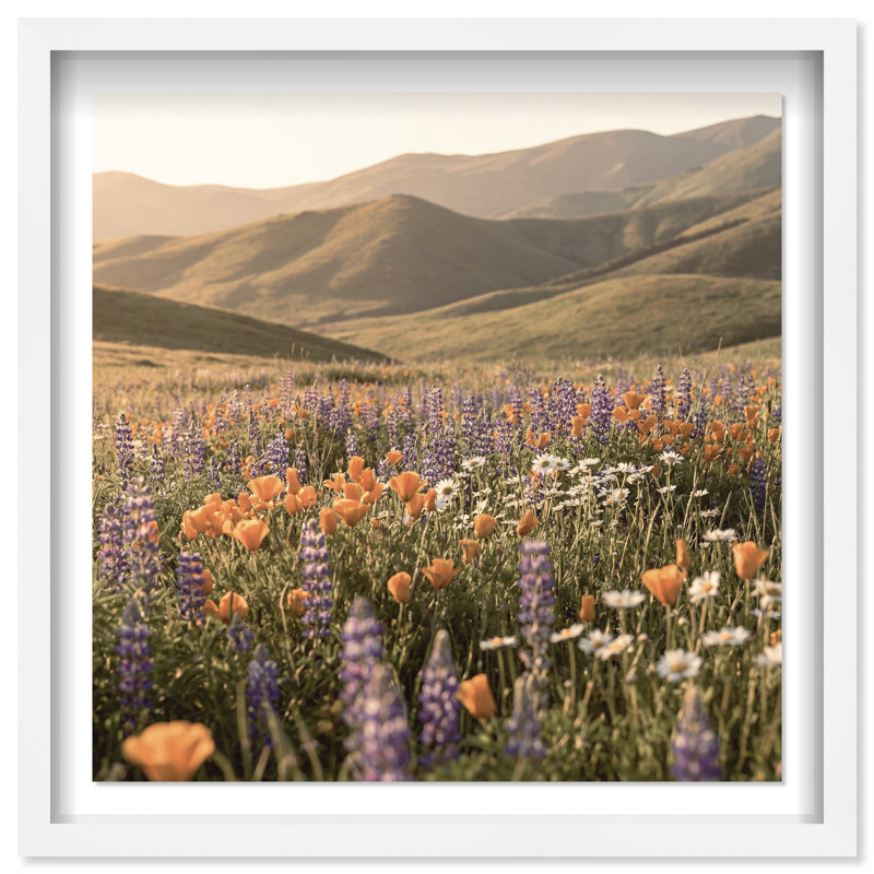 Lavender Hill Print by Oliver Gal, 17.5" H x 17.5" W, White Shadowbox