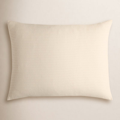 Felix Cotton Pillow Sham