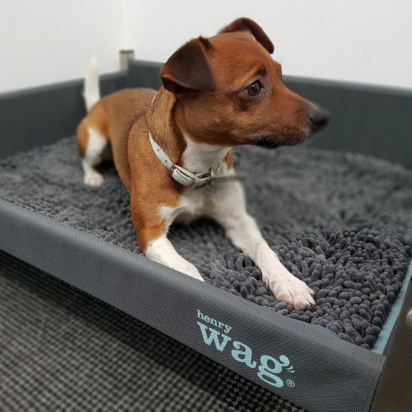 Microfibre Pet Bed, Large (80cm W x 65cm D x 2cm H)