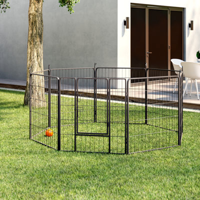 Enclos pour chien Darla