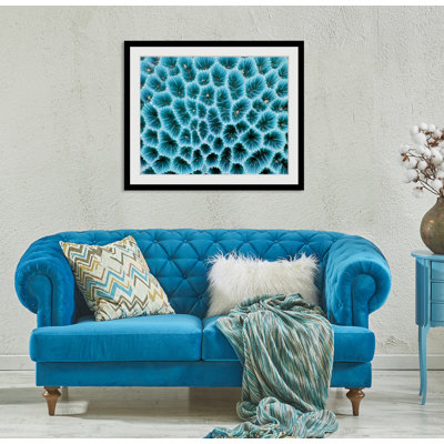 Seaweed - Single Picture Frame Print