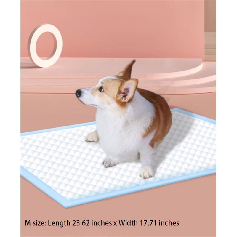 Tapis pour chien (ensemble de 50)