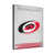 Carolina Hurricanes