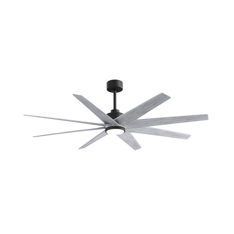 Ariella - Eight Blade Ceiling Fan - Integrated LED - Matte Black Finish - Matte White Blades, Barn Wood Tone, Matte Black