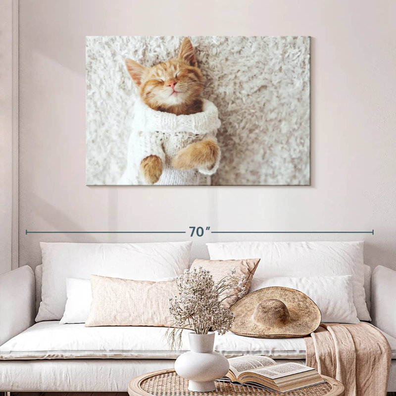 Chat Brampt dans un chandail, H 30 po x l 45 po