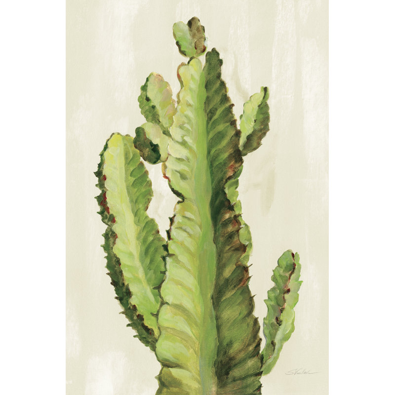 Front Yard Cactus II by Silvia Vassileva - Wrapped Canvas Painting, 76cm H x 51cm W