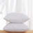 Solid Colour Pillow Insert-1614891754