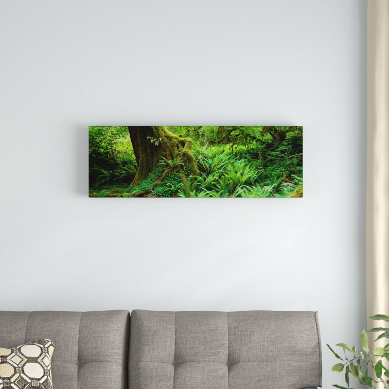 «Hoh Rainforest, Olympic National Forest, Washington», reproduction de photo sur toile, H 12 po x l 36 po x P 1,5 po