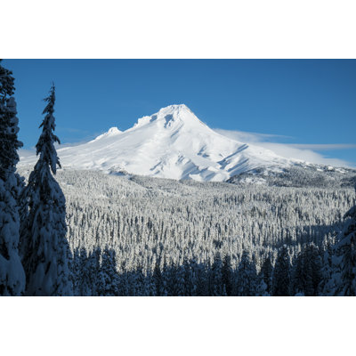 " Mt. Hood, Winter, Oregon " by Robertcrum
