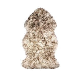 Novelty Animal Print Sheepskin 2' x 3' Area Rug in Gradient Chocolate