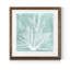 Algue sur Aqua IX-imprimé-1091238038-1091238018