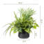 Artificial Plant