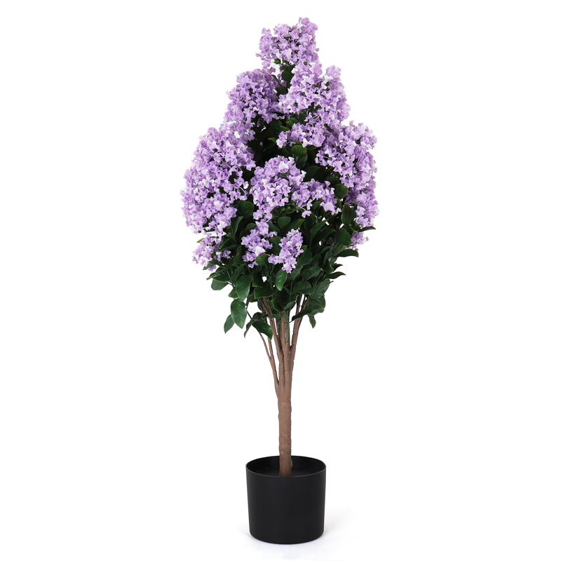 Potted Lilac - Medium, Purple