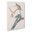 Passenger Pigeons by John James Audubon - Wrapped Canvas-55366528