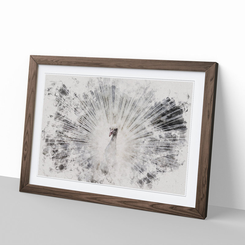 White Peacock - Picture Frame Graphic Art, Walnut Framed, 27cm H x 36cm W x 2cm D