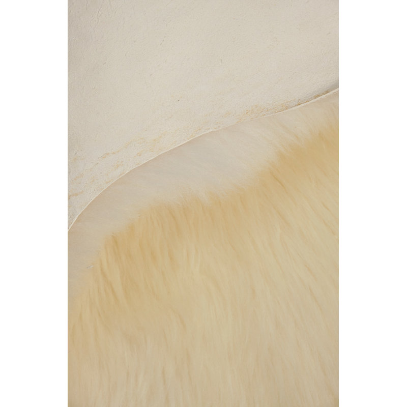 Dwana Solid Colour Sheepskin Area Rug, Novelty 75cm x 100cm