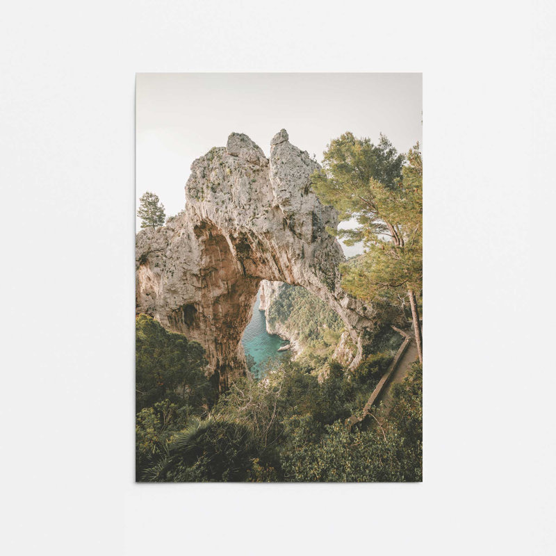 Imprimé d'arche de la nature, Papier, H 14 po x l 11 po x P 0,1 po