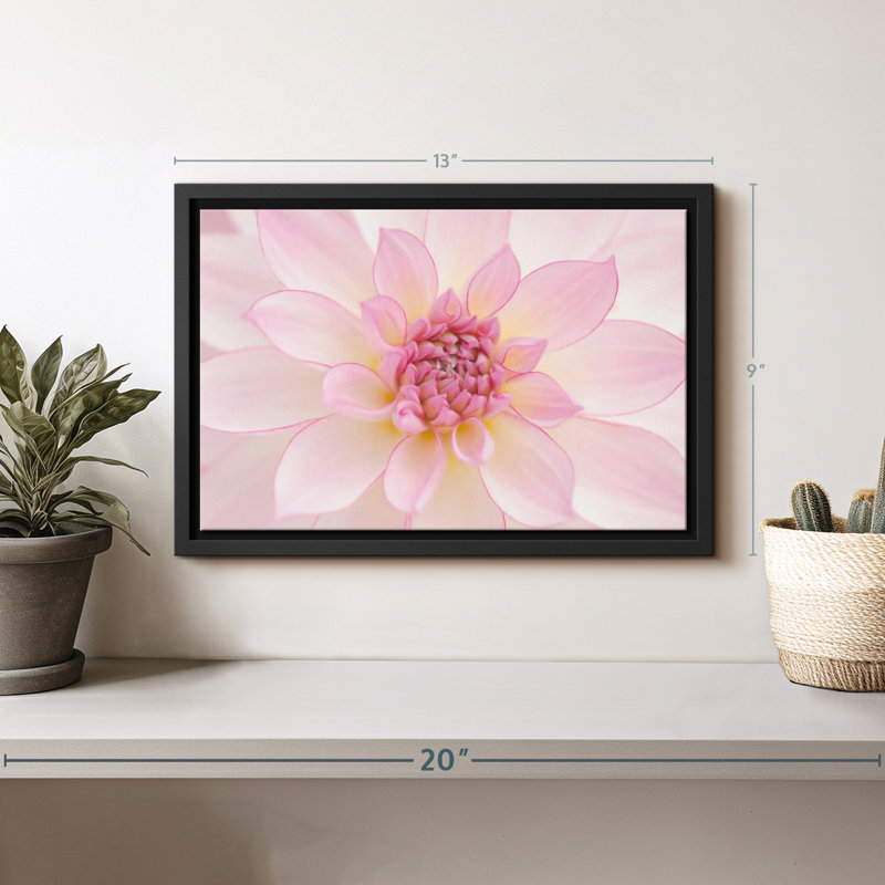 Impression sur toile de pétales rose clair, H 9 po x l 13 po