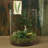 Urbank Glass Table Vase