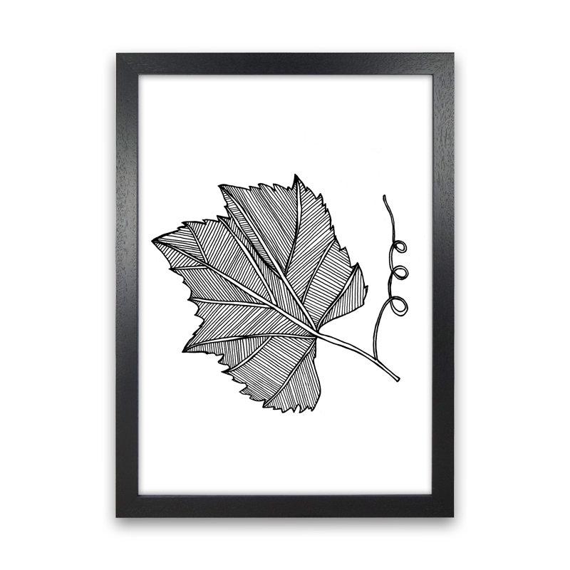 Vine Leaf by Carissa Tanton - Print, Black Framed, 46cm H x 34cm W x 3cm D