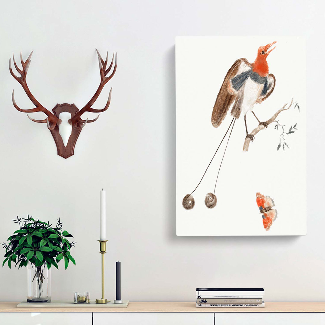 Bird of Paradise & Butterfly by Johan Teyler - Wrapped Canvas